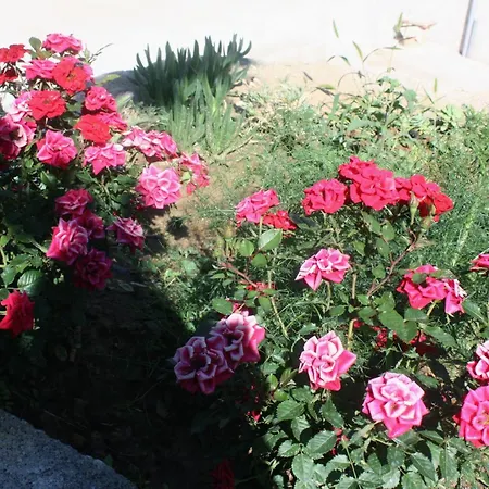 With Parking Space Supetarska Draga - Gonar, Rab - 5016 Apartment *