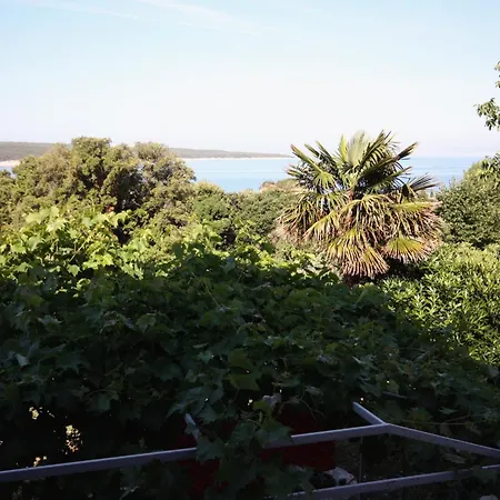 With Parking Space Supetarska Draga - Gonar, Rab - 5016 Apartment