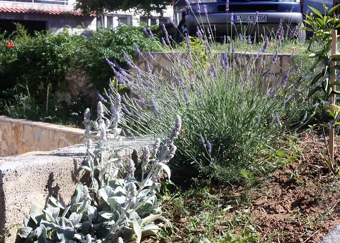 דירה With Parking Space Supetarska Draga - Gonar, Rab - 5016